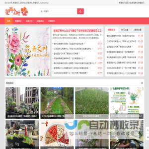 花卉之叶网