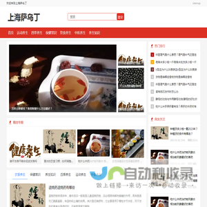 上海萨乌丁电子科技有限公司