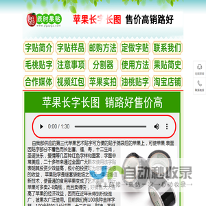 辰时果贴简介