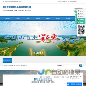 湖北胖头鱼批发厂家