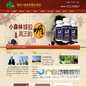 小森林集团