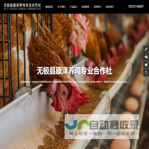 无极县康泽养鸡专业合作社