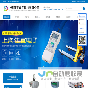 上海电子秤厂家,电子秤厂家价格,上海吊秤厂家,吊秤供应价格