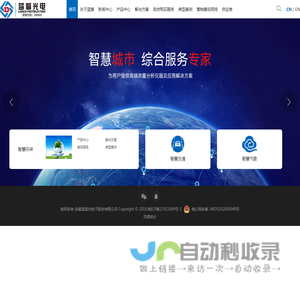 安徽蓝盾光电子股份有限公司