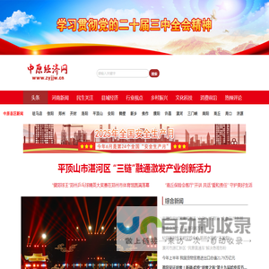 中原经济网
