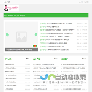 心连心鲜花网