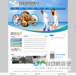 武汉麦可欣科技有限公司官网
