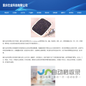 重庆仕金科技有限公司