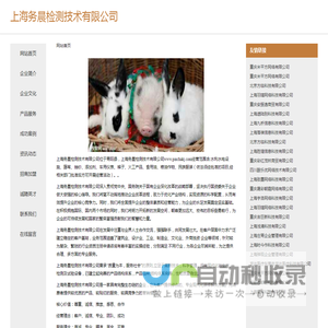 上海务晨检测技术有限公司