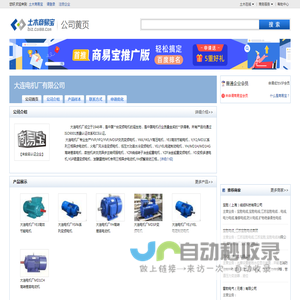 大连电机厂有限公司
