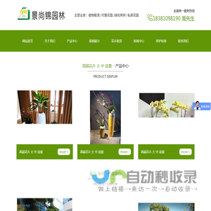 成都植物租赁