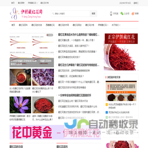 藏红花