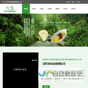 雷竹苗