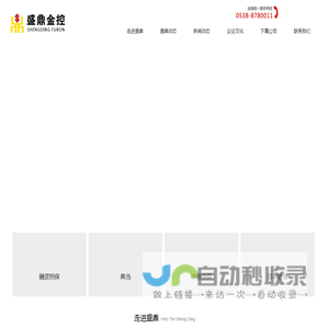 山东盛鼎金融控股集团