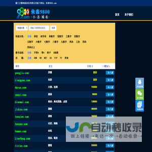 米表9800.com厦门卫擎网络科技专注优质拼音