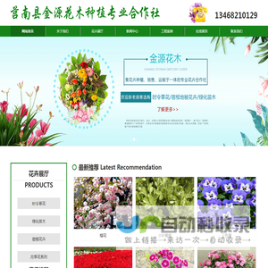莒南草花基地
