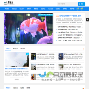 爱钓鱼