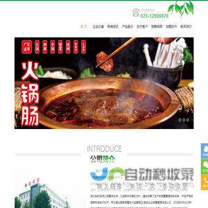 重庆帅龙实业有限公司