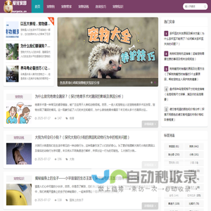 宠物大全