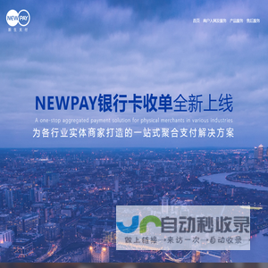 新生支付