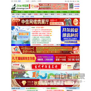 中信网