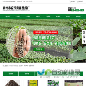 育苗基质_草炭土价格_营养土厂家_青州市盛禾育苗基质厂