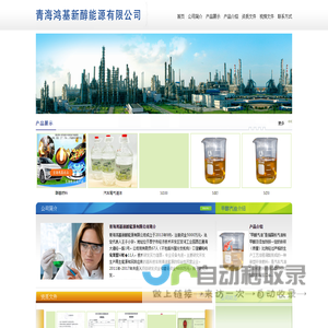 青海鸿基新醇能源有限公司――甲醇汽油