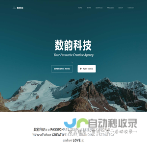 数韵科技