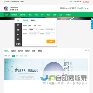 政采国际特价机票