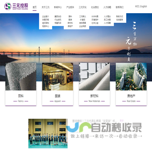 三元控股集团有限公司