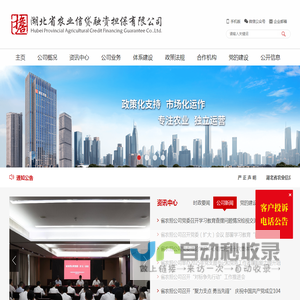 湖北省农业信贷融资担保有限公司