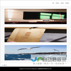 艾美空心菜网