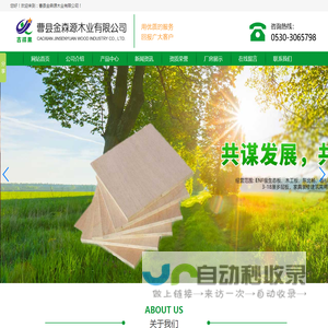 曹县金森源木业有限公司
