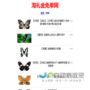 淘礼金免单网
