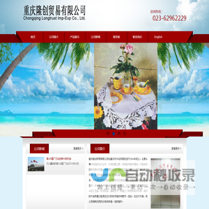 重庆隆创贸易有限公司
