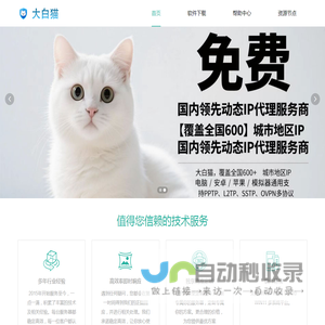 大白猫