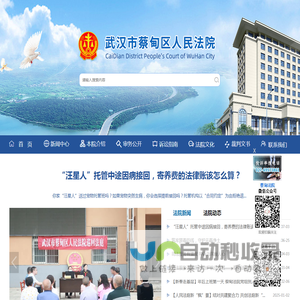 武汉市蔡甸区人民法院