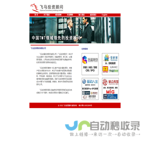 飞马投资顾问有限公司官网