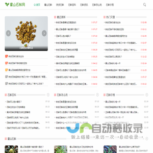 霍山石斛网
