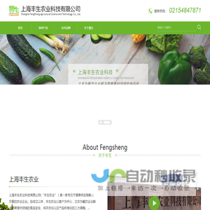 上海丰生农业科技有限公司专业净菜加工厂上海丰生农业科技有限公司