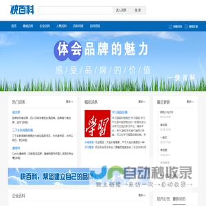 企业百科词条