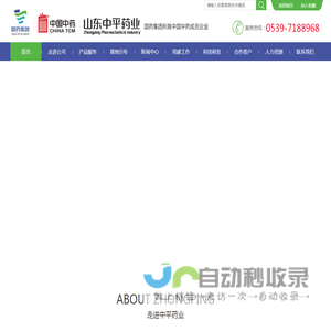 山东中平药业有限公司