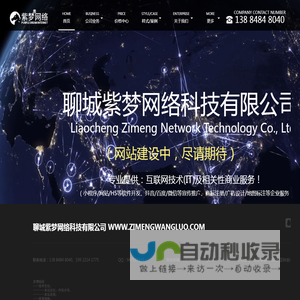 聊城紫梦网络科技有限公司
