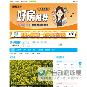 西子湖畔xizi.com