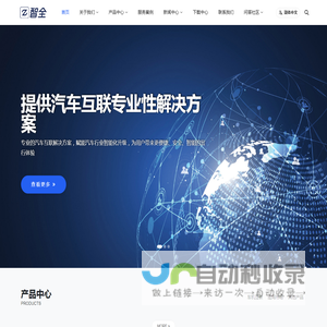 智全网络科技