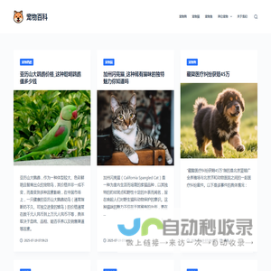 宠物知识