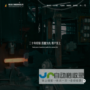 缙云县三锋模具有限公司
