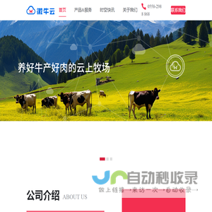 徽牛云