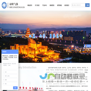 陕西标准气体厂家