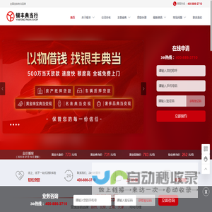 郑州市银丰典当有限责任公司